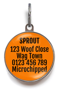 Golden Oldie Pet Tag