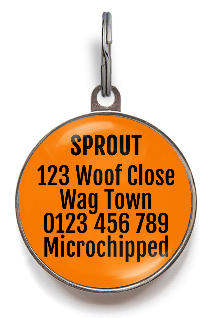 Wag tags sale