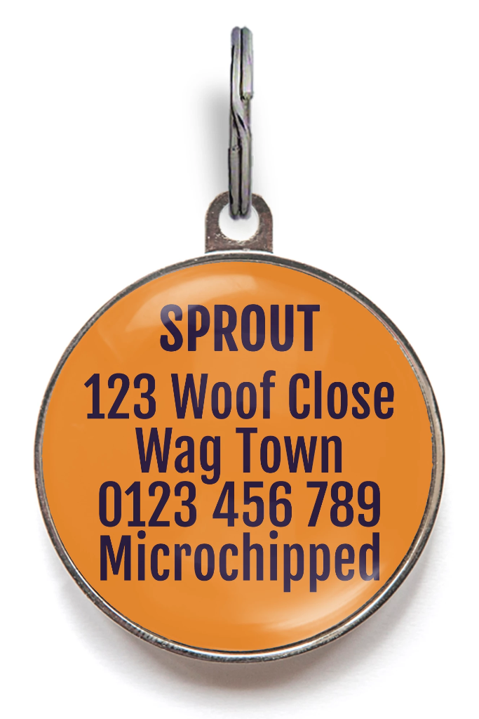 Orange Little Monster Pet Tag