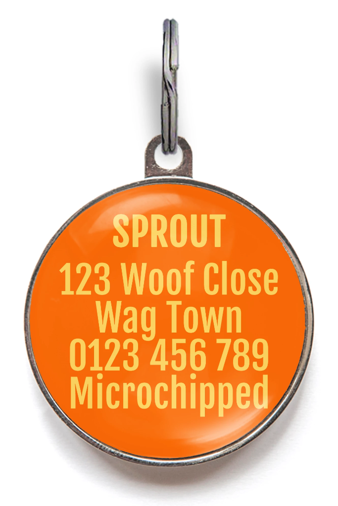 Orange Sunburst Dog ID Tag