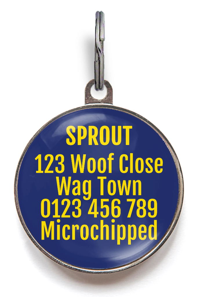 Squirrel Patrol Dog ID Tag