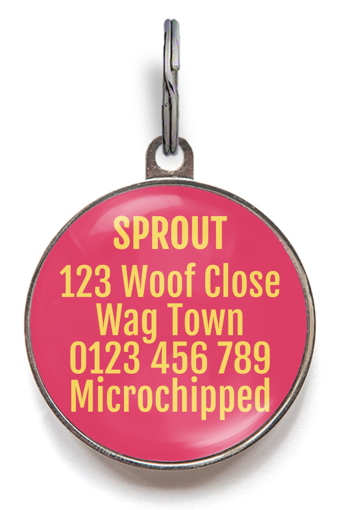 Cute As A Cupcake Pet Tag - Pink