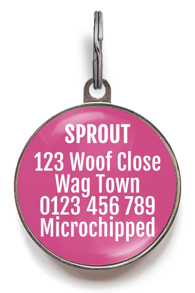 Halloween Dog Tags - Pink Monster