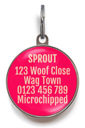 Pink Sunburst Dog ID Tag