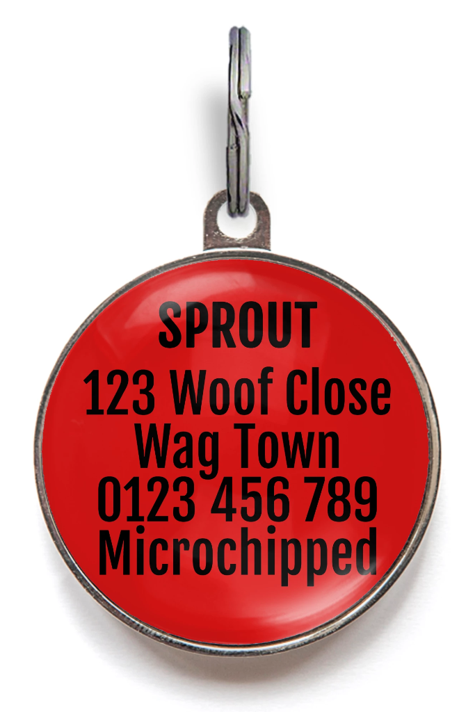 Plaid Pet Tag