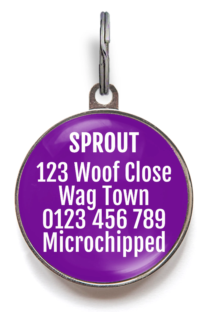 Treat Wh*re Pet ID Tag