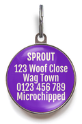 Purple Sunburst Dog Name Tag