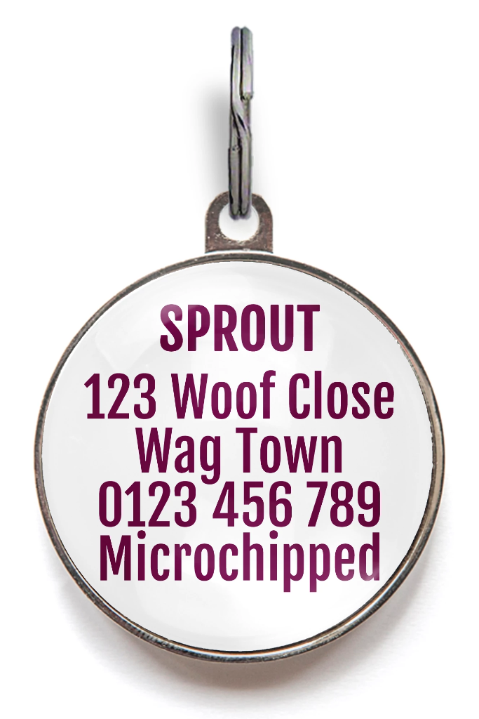 Lei Brights Pet Tag