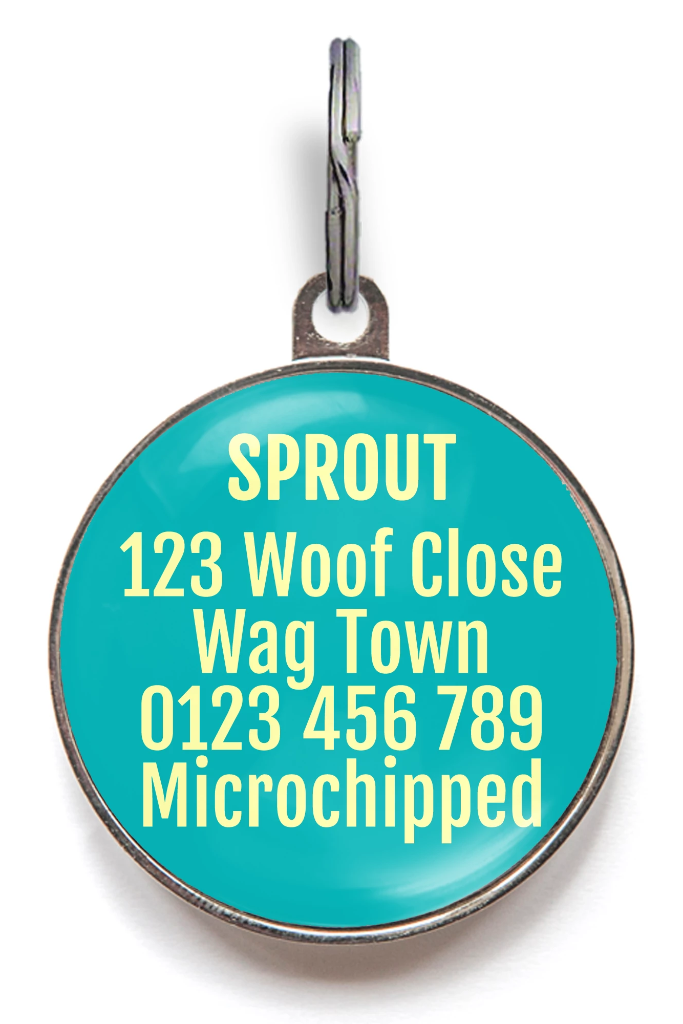 Grungey Rainbow Pet ID Tag