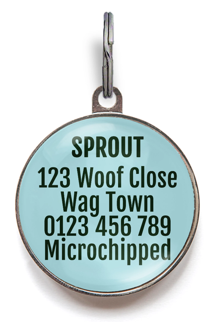 Seascape Pet Tag