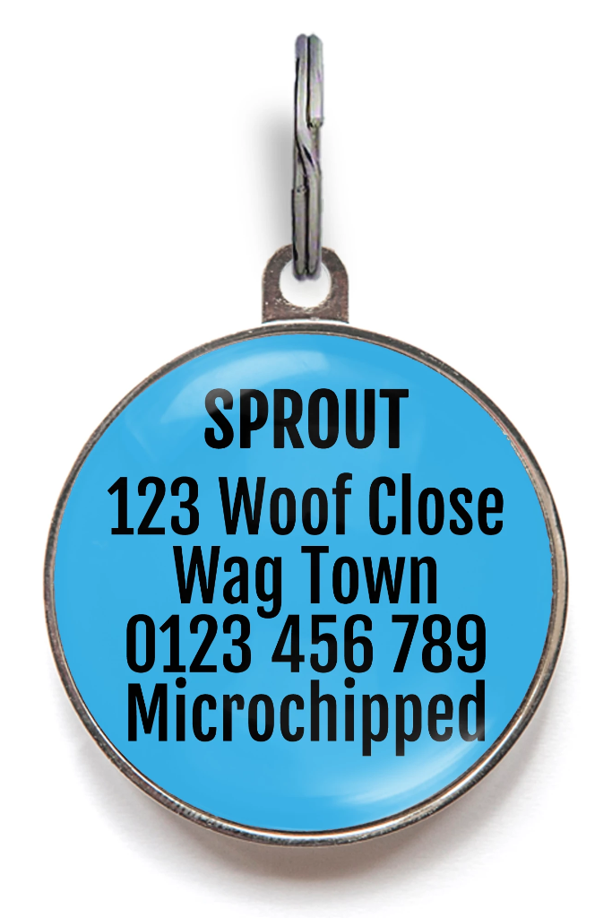 Selective Hearing Disorder Dog Tag