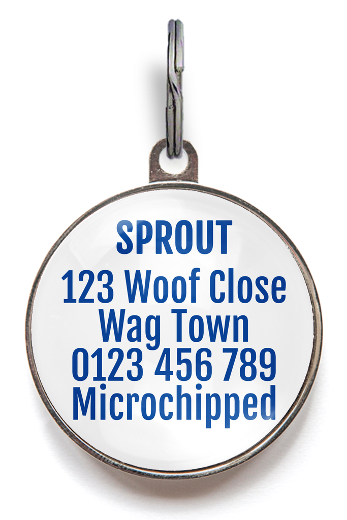 Star Confetti Dog Name Tag