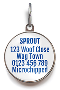 Star Confetti Dog Name Tag