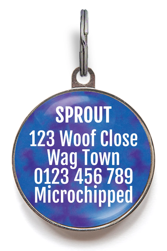 Classic Bone Pet ID Tag