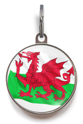 Wales Welsh Flag Pet ID Tag