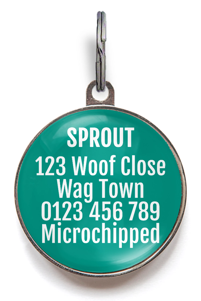 Ride The Waves Pet ID Tag