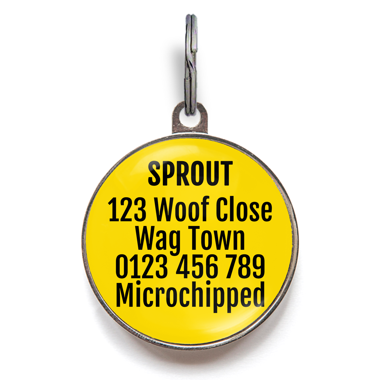 No Regrets Pet Tag
